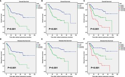 Prognostic Value of the Systemic Inflammatory Response Index in Patients Undergoing Radical Cystectomy for Bladder Cancer: A Population-Based Study